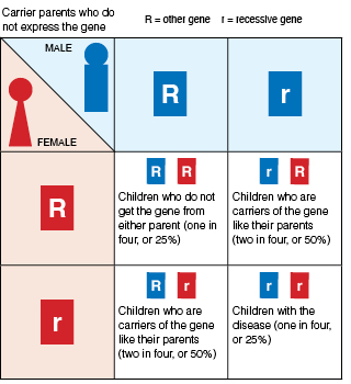 Illustration demonstrating autosomal recessive inheritance.
